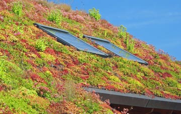 Ireland living roof systems